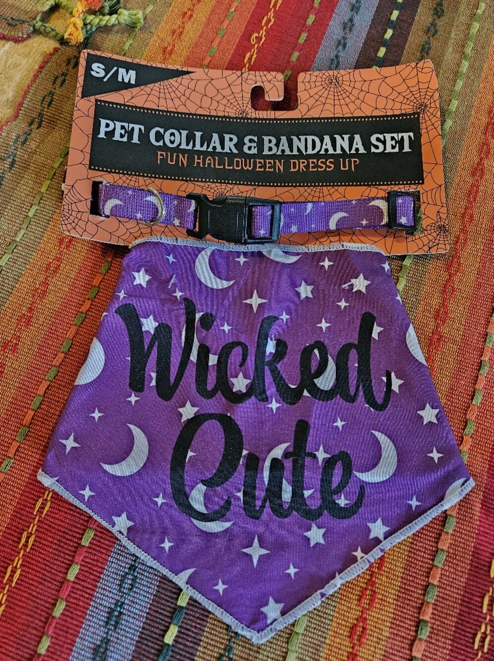 Halloween Purple Pet Collar & Bandana Set - 'Wicked Cute'
